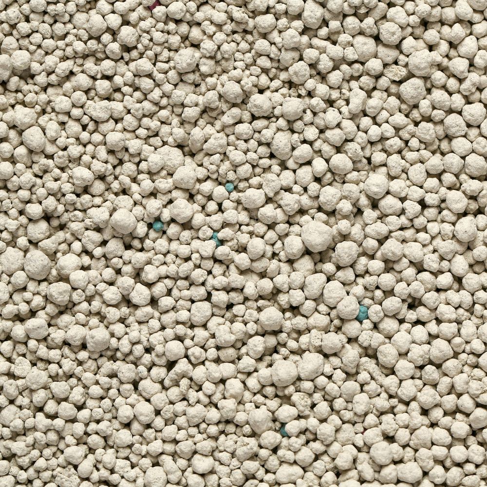 Bentonite Cat Litter