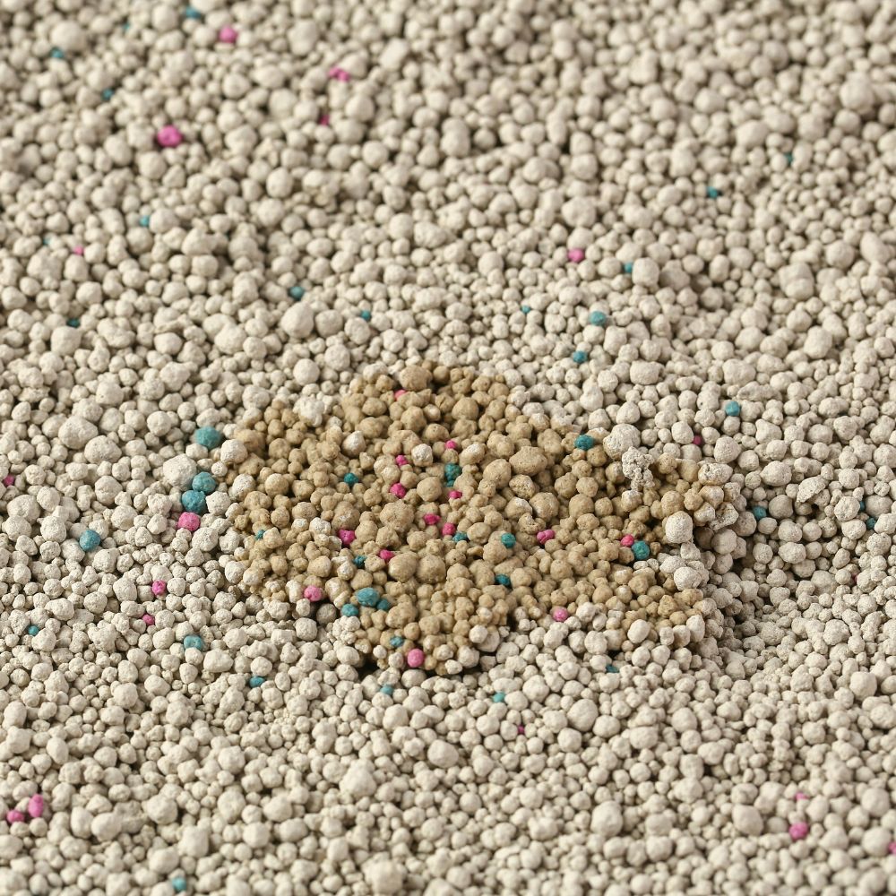 Bentonite Cat Litter