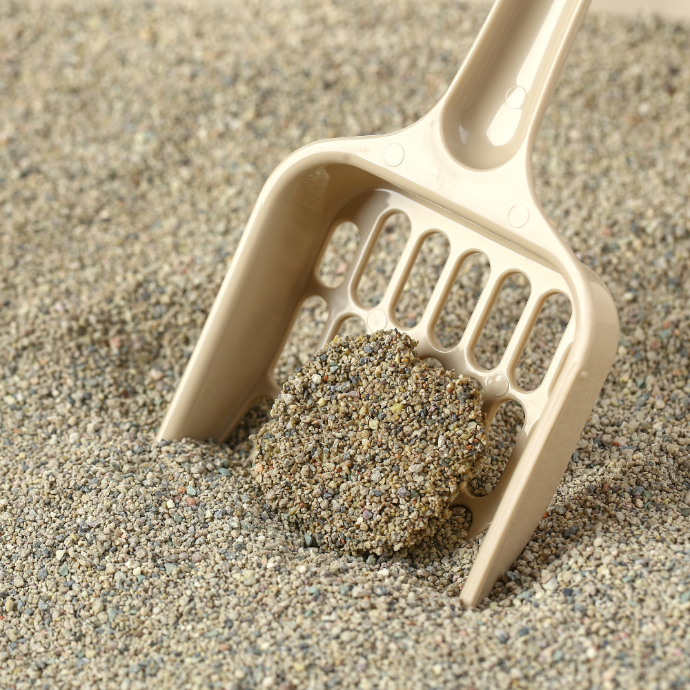 Irregular Bentonite Cat Litter