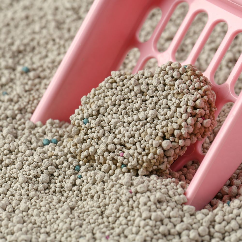 Bentonite Cat Litter