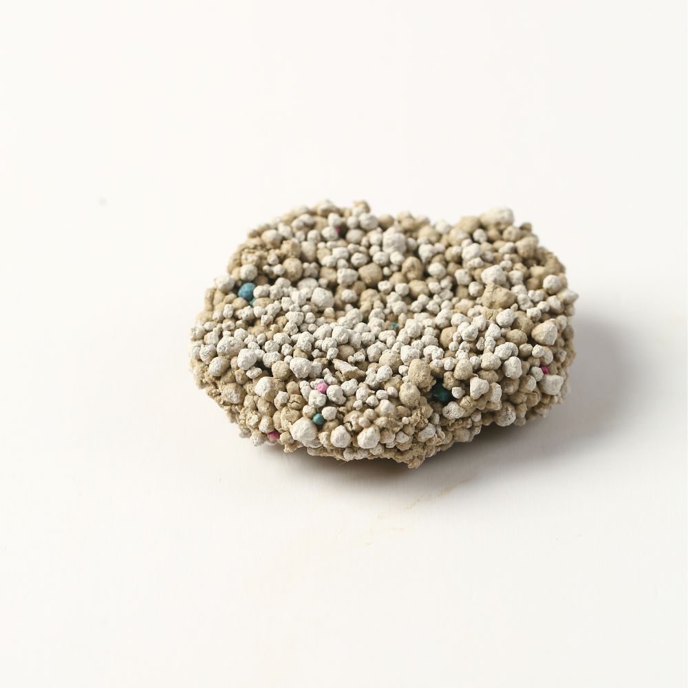 Bentonite Cat Litter