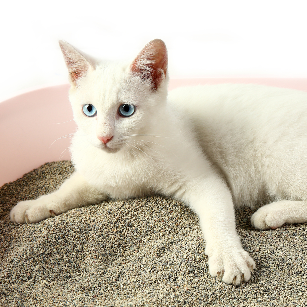 Irregular Bentonite Cat Litter
