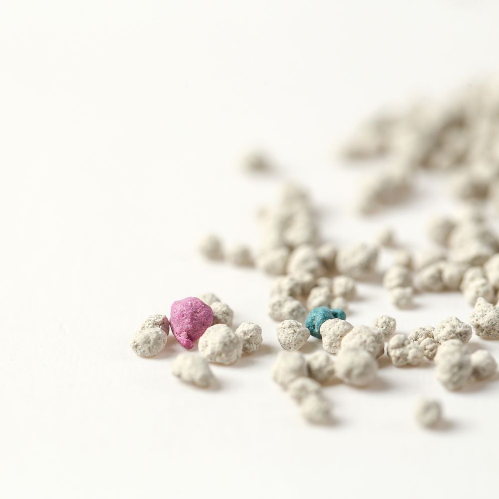 Bentonite Cat Litter