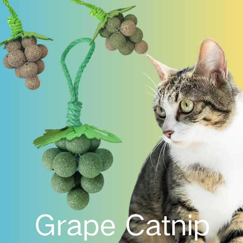 Funny Grape Shaped-Design Catnip Toy Durable Cat Chew Toy Cat Entertainment Organic Catnip Ball