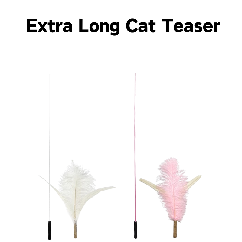Extra Long Cat Teaser