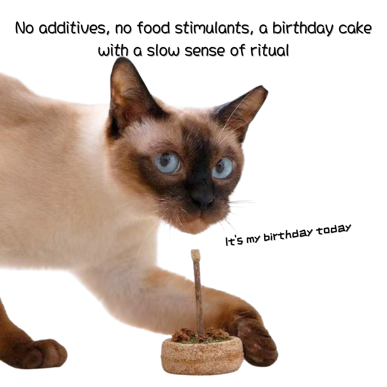 Catnip Birthday Cake