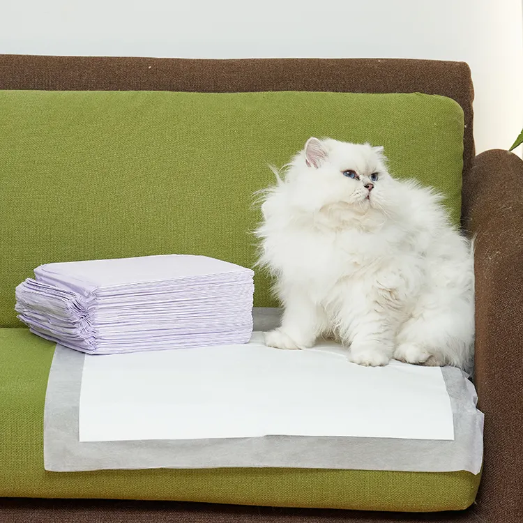 Disposable pet urinal pads