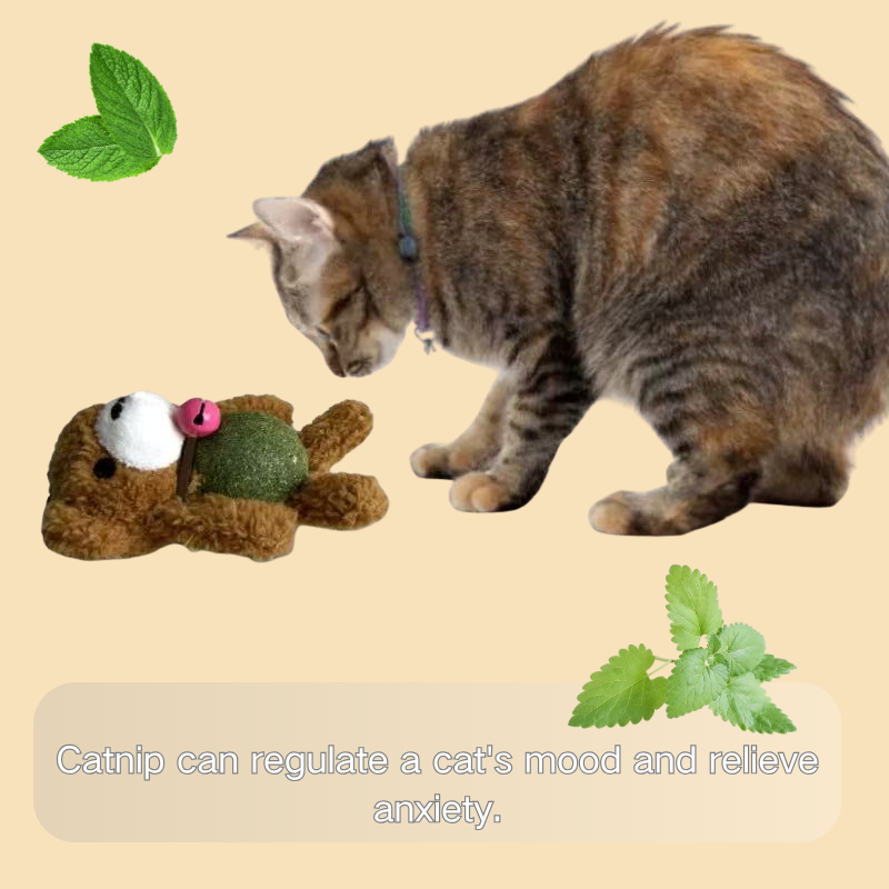 Catnip plush toy
