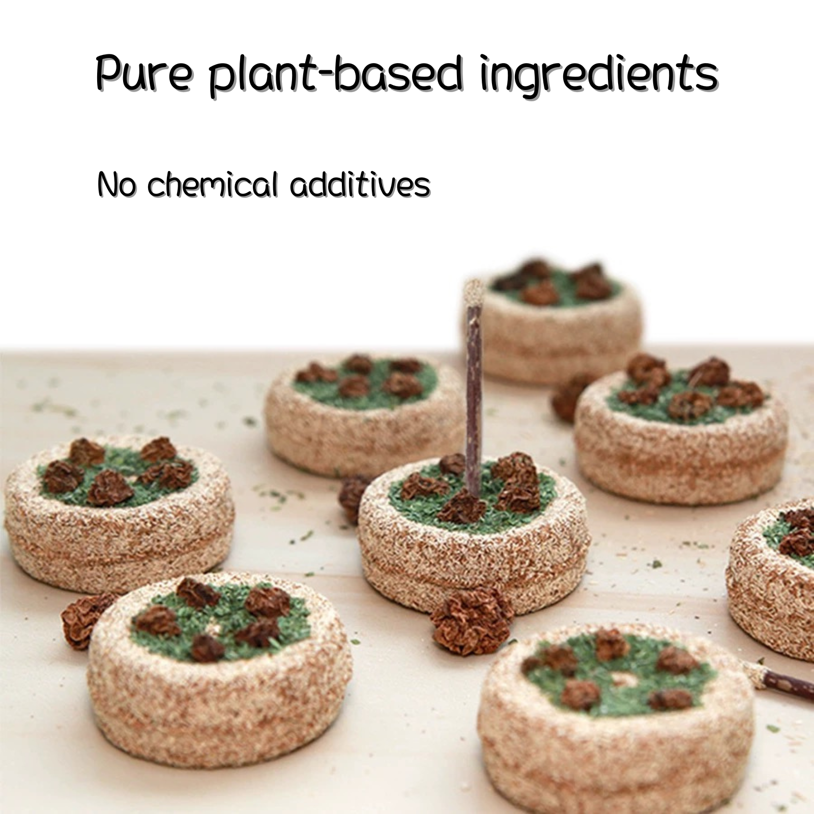 Catnip Birthday Cake