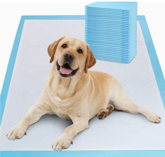 Customized Biodegradable Care Mat Pet Pee Mat Dog Urine Pad Pet Training Pads