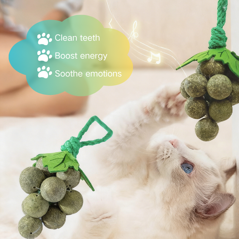 Funny Grape Shaped-Design Catnip Toy Durable Cat Chew Toy Cat Entertainment Organic Catnip Ball