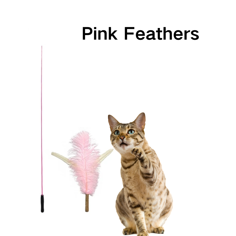 Extra Long Cat Teaser