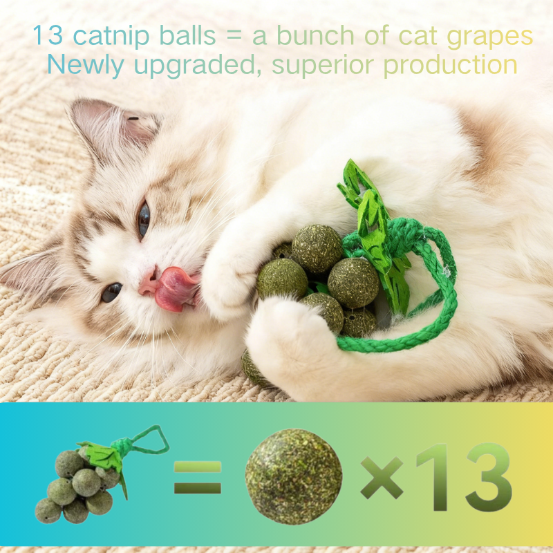 Funny Grape Shaped-Design Catnip Toy Durable Cat Chew Toy Cat Entertainment Organic Catnip Ball
