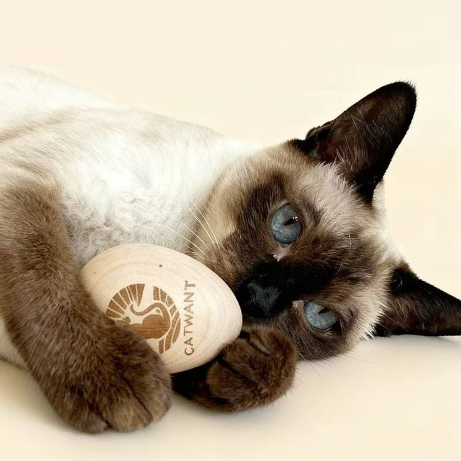 Magic Rotating Wooden Egg