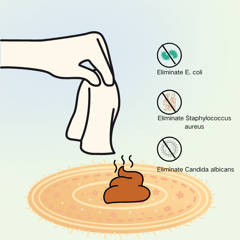  Pet Stain Cleaning Wipes