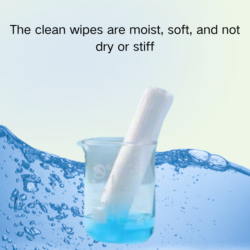  Pet Stain Cleaning Wipes