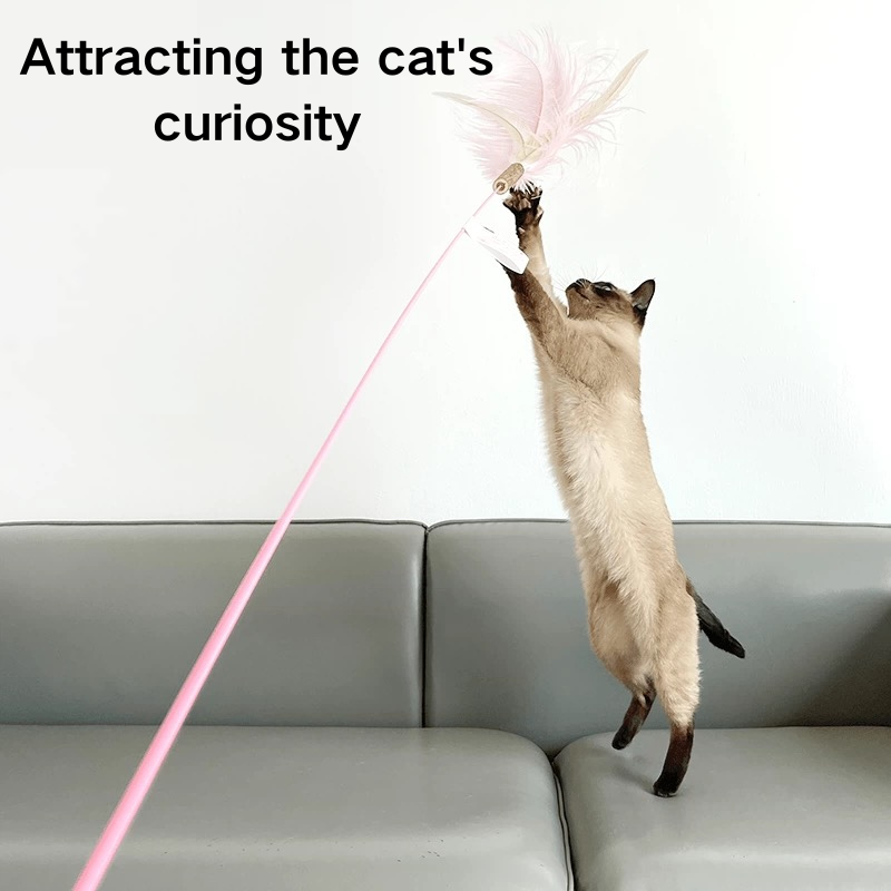 Extra Long Cat Teaser