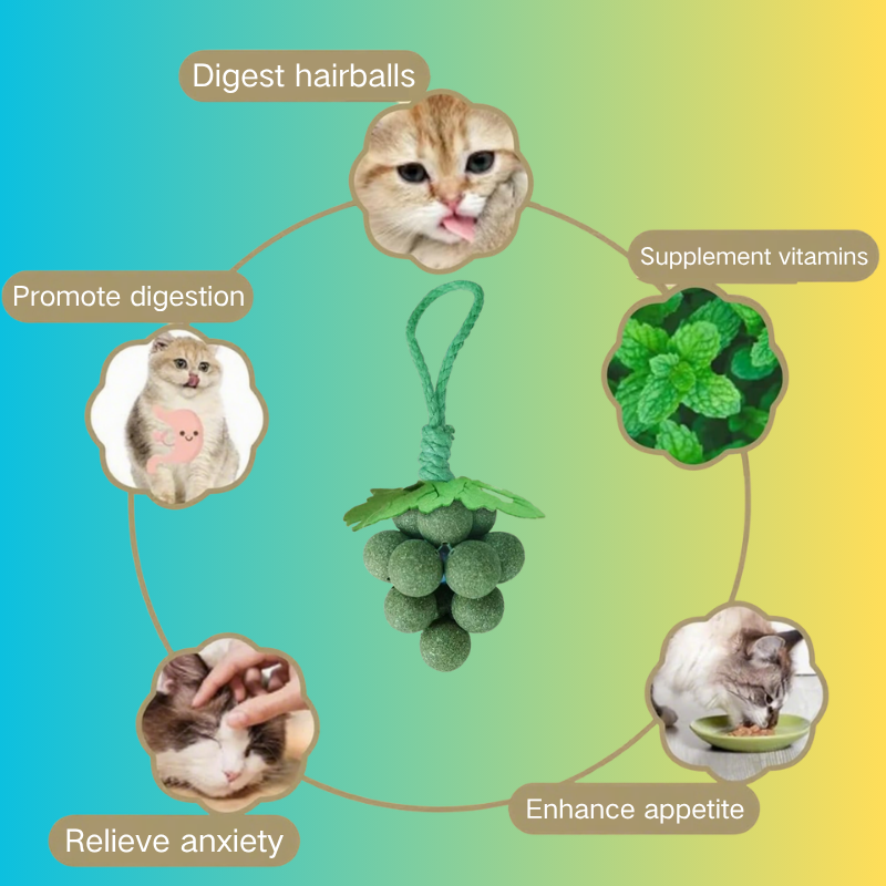 Funny Grape Shaped-Design Catnip Toy Durable Cat Chew Toy Cat Entertainment Organic Catnip Ball