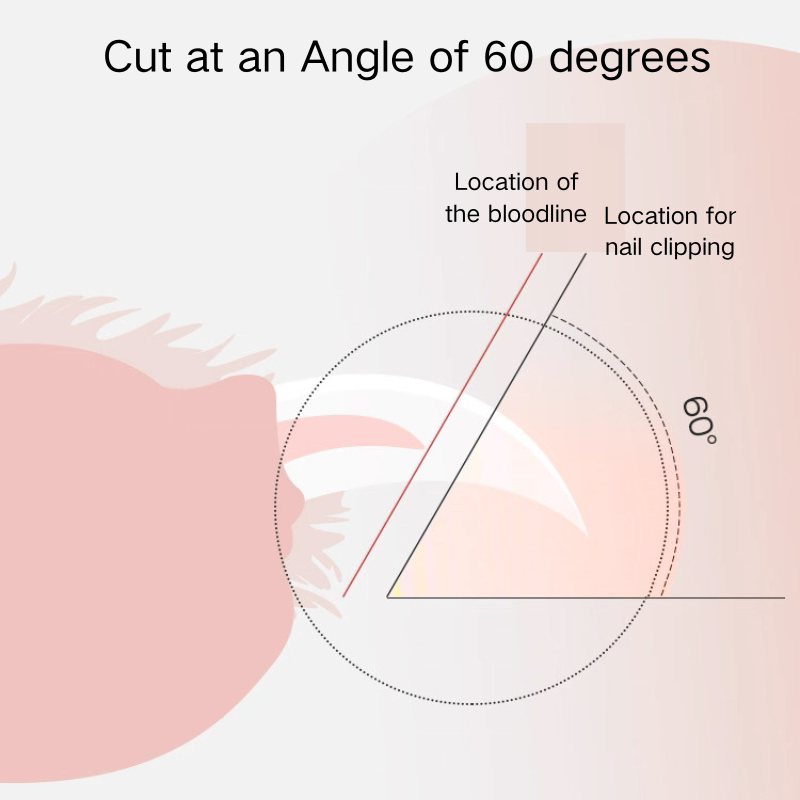 LED Pet Nail Clipper for Dogs Cats