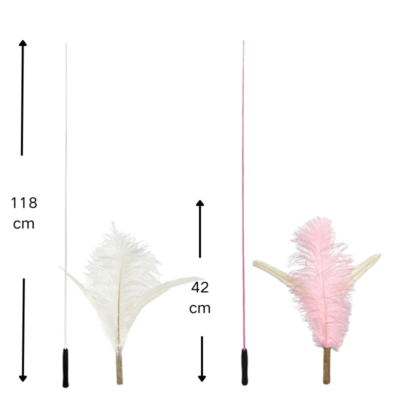 Extra Long Cat Teaser