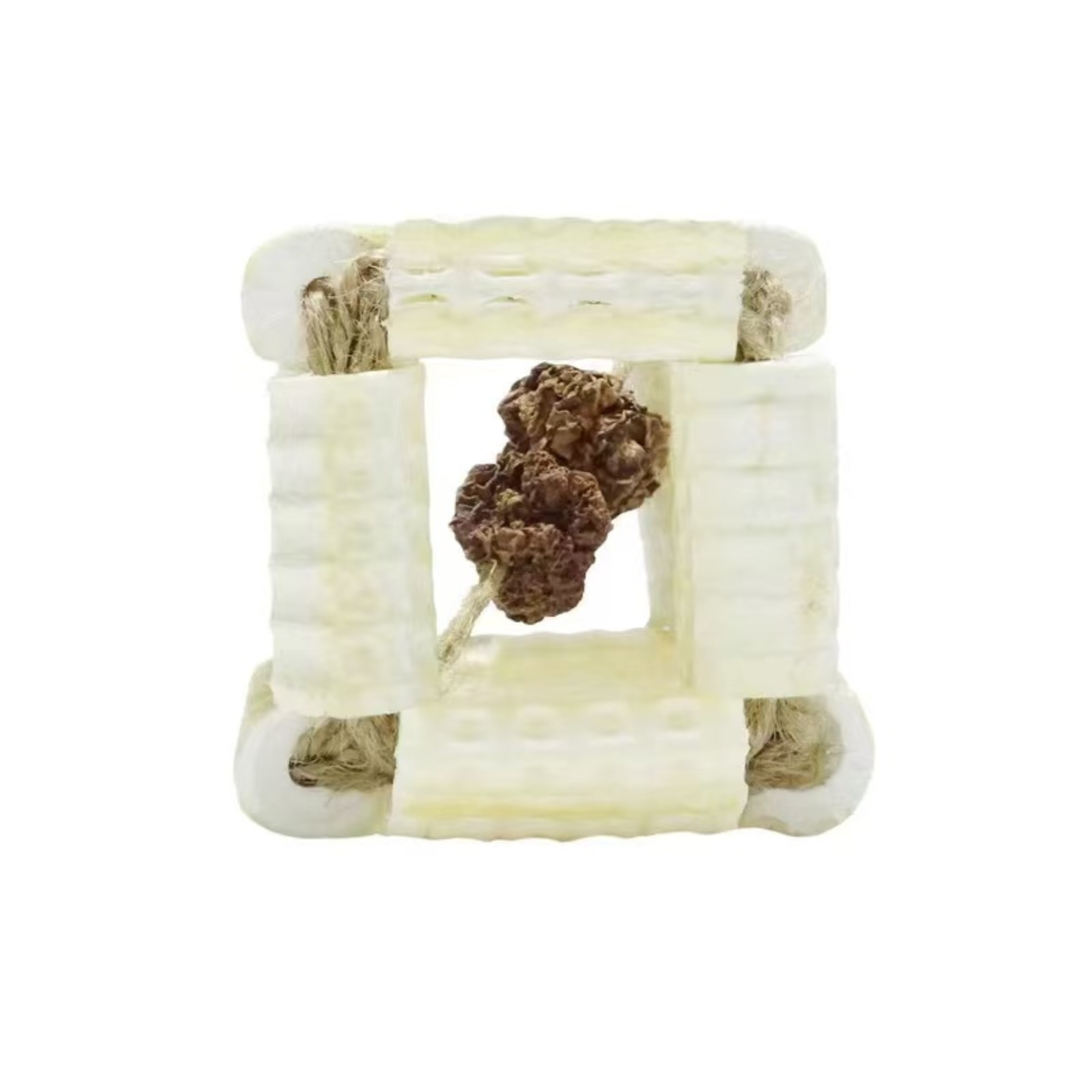 Shark Bone Series Cat Toys