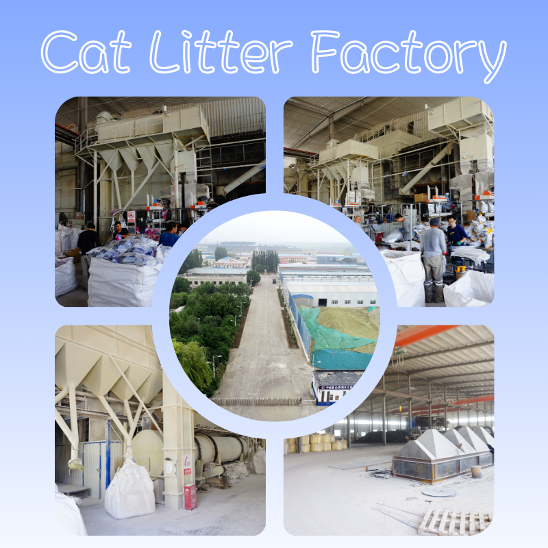 Biodegradable Pine Wood Cat Litter - Environmental Protection Natural Odor Control Litter