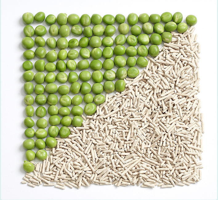 Why Tofu Litter is Becoming Popular?-CAT LITTER MANUFACTURER