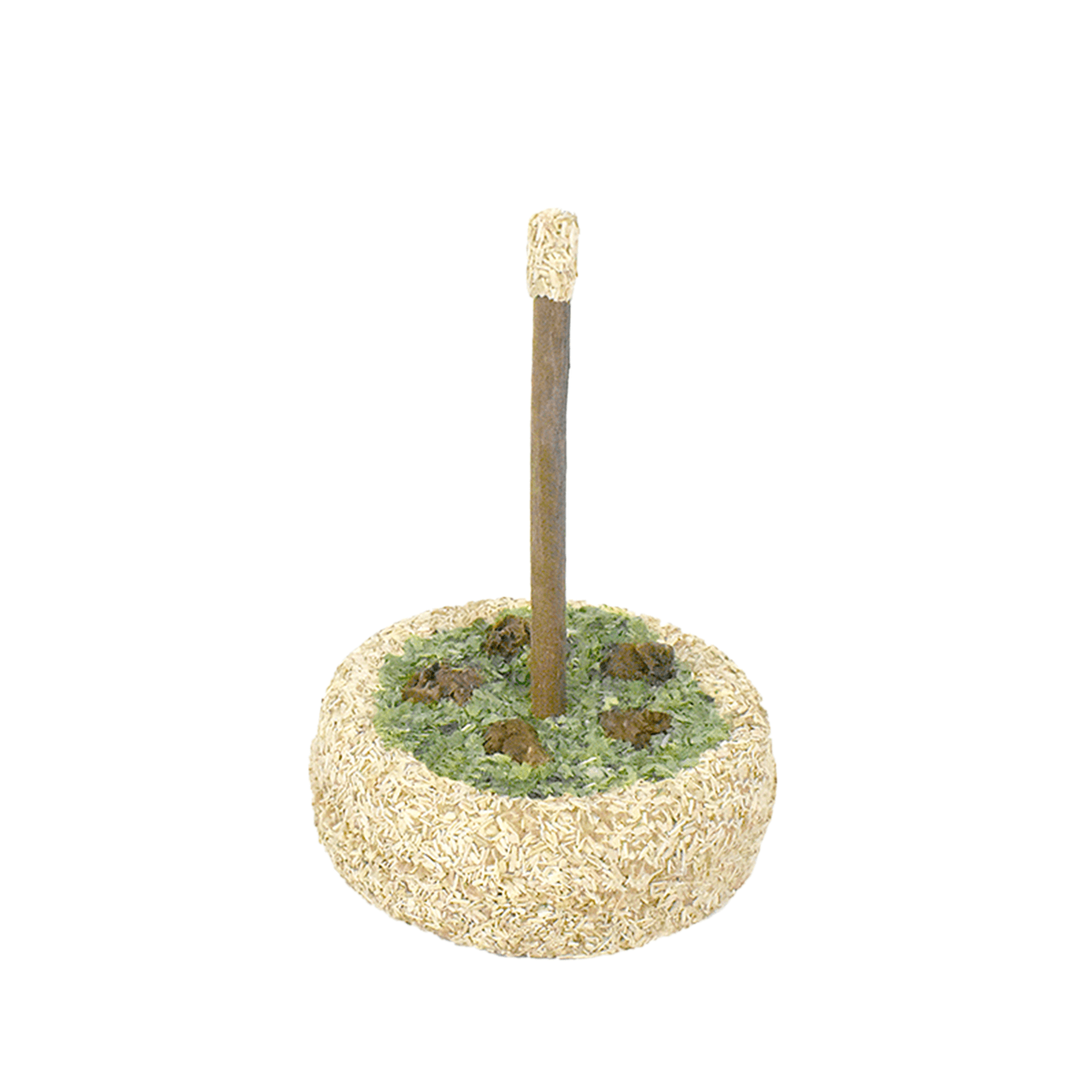 Catnip Birthday Cake