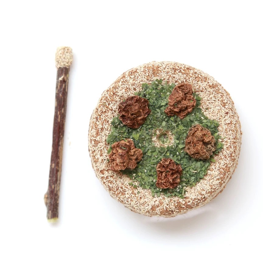 Catnip Birthday Cake