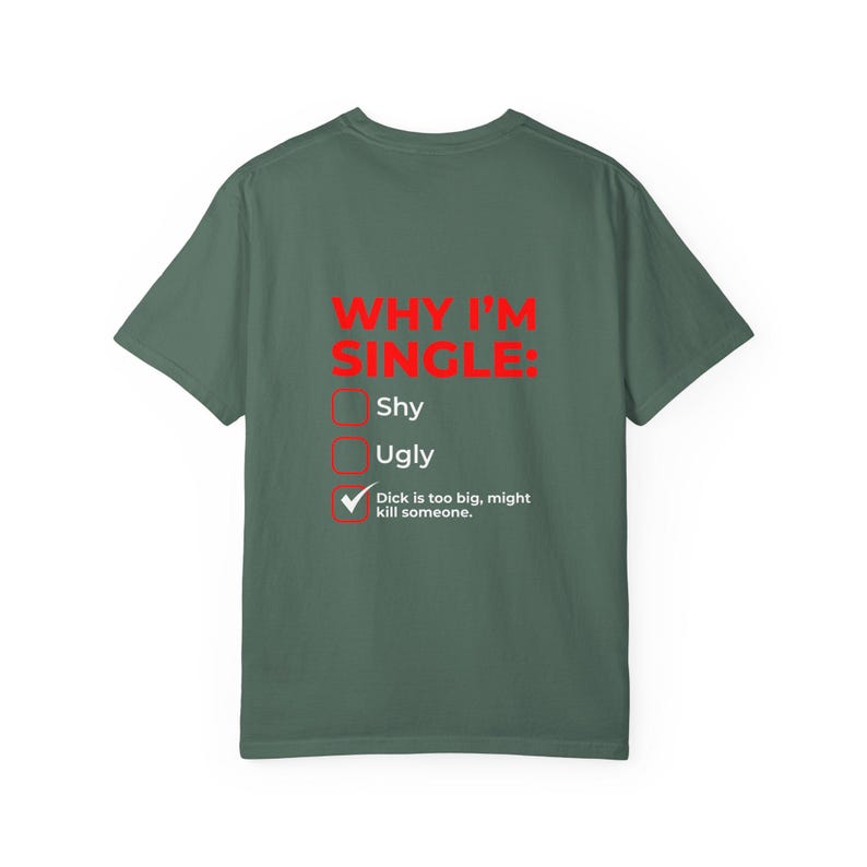Why I'm Single Meme Shirt, Adult Humor Graphic Tee