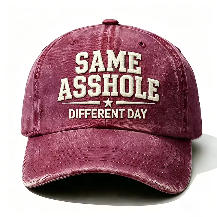 Same Asshole Different Day Embroidery Cap