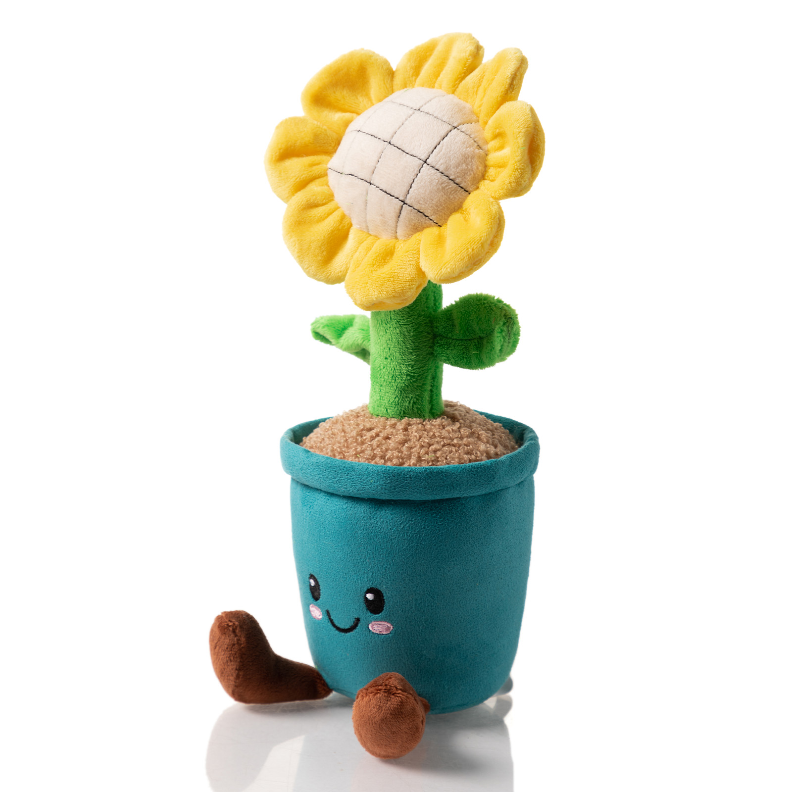 Plant Plush Asst