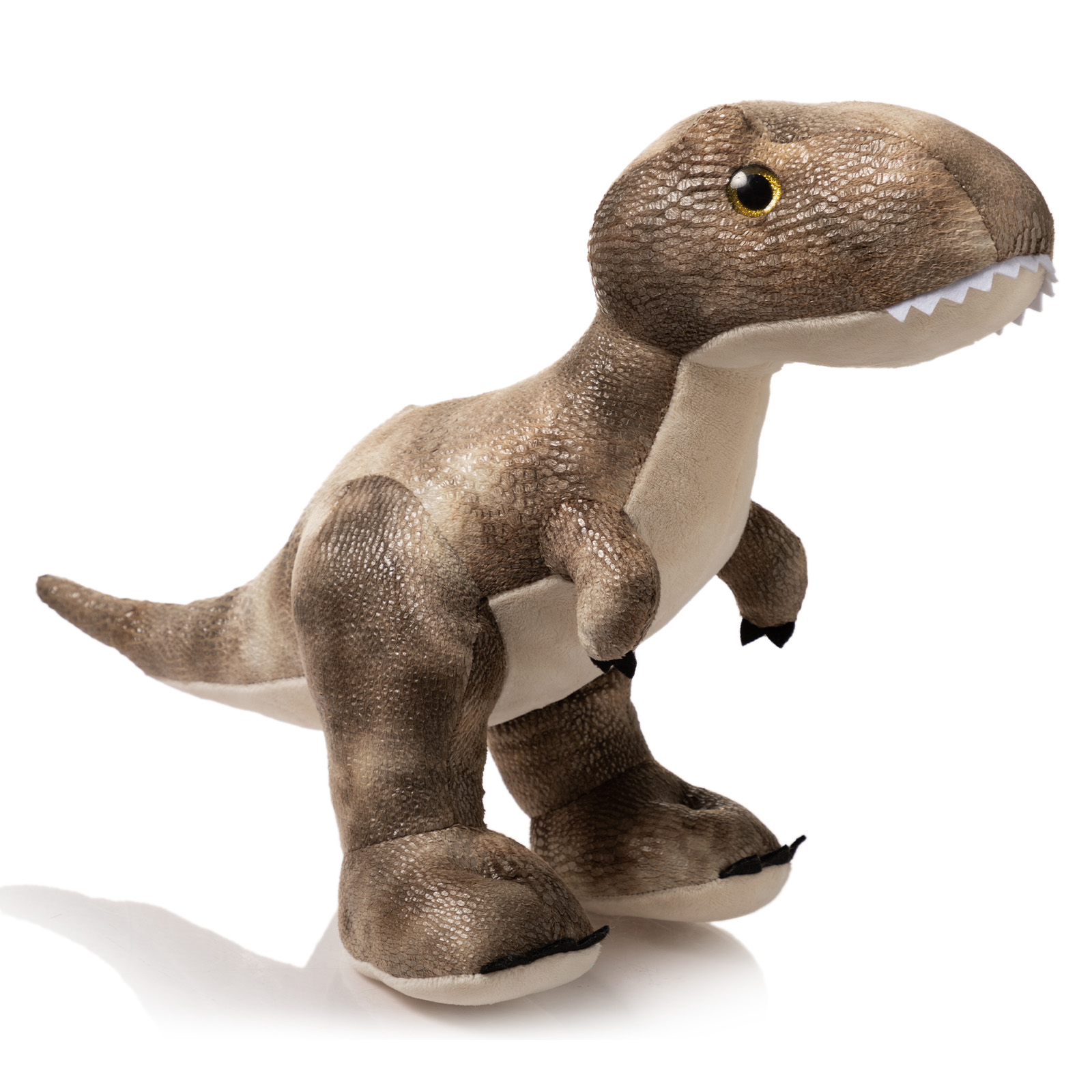 40cm H Tyrannosaurus