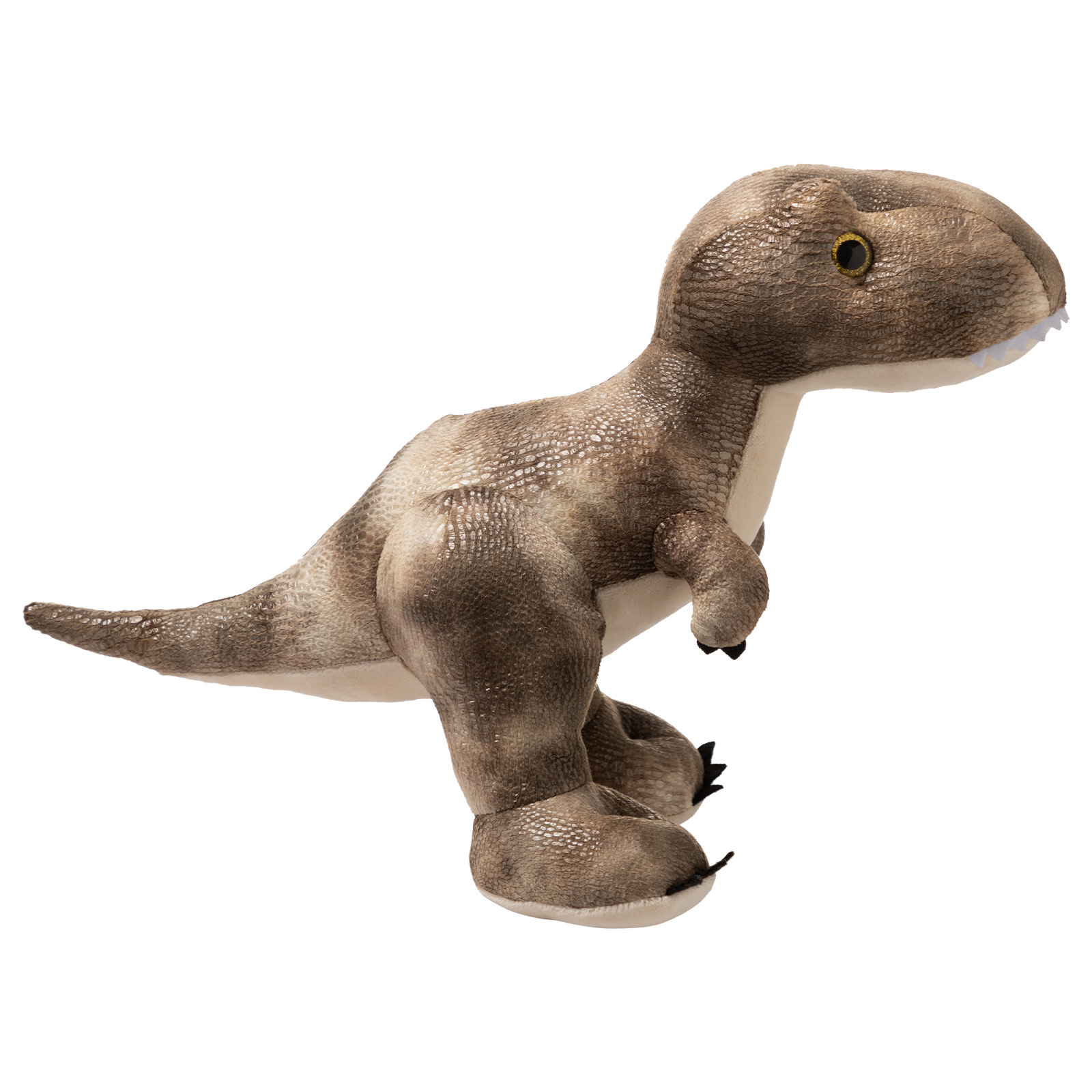 40cm H Tyrannosaurus