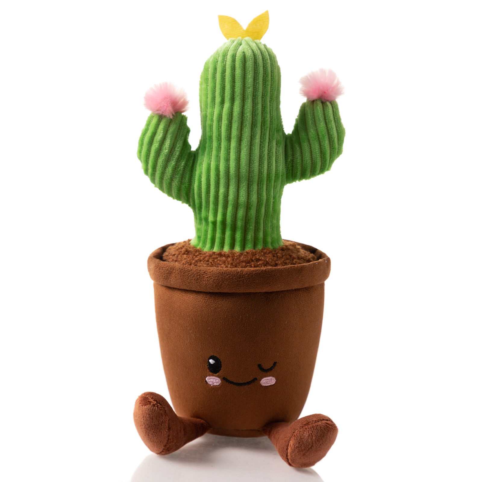 Plant Plush Asst