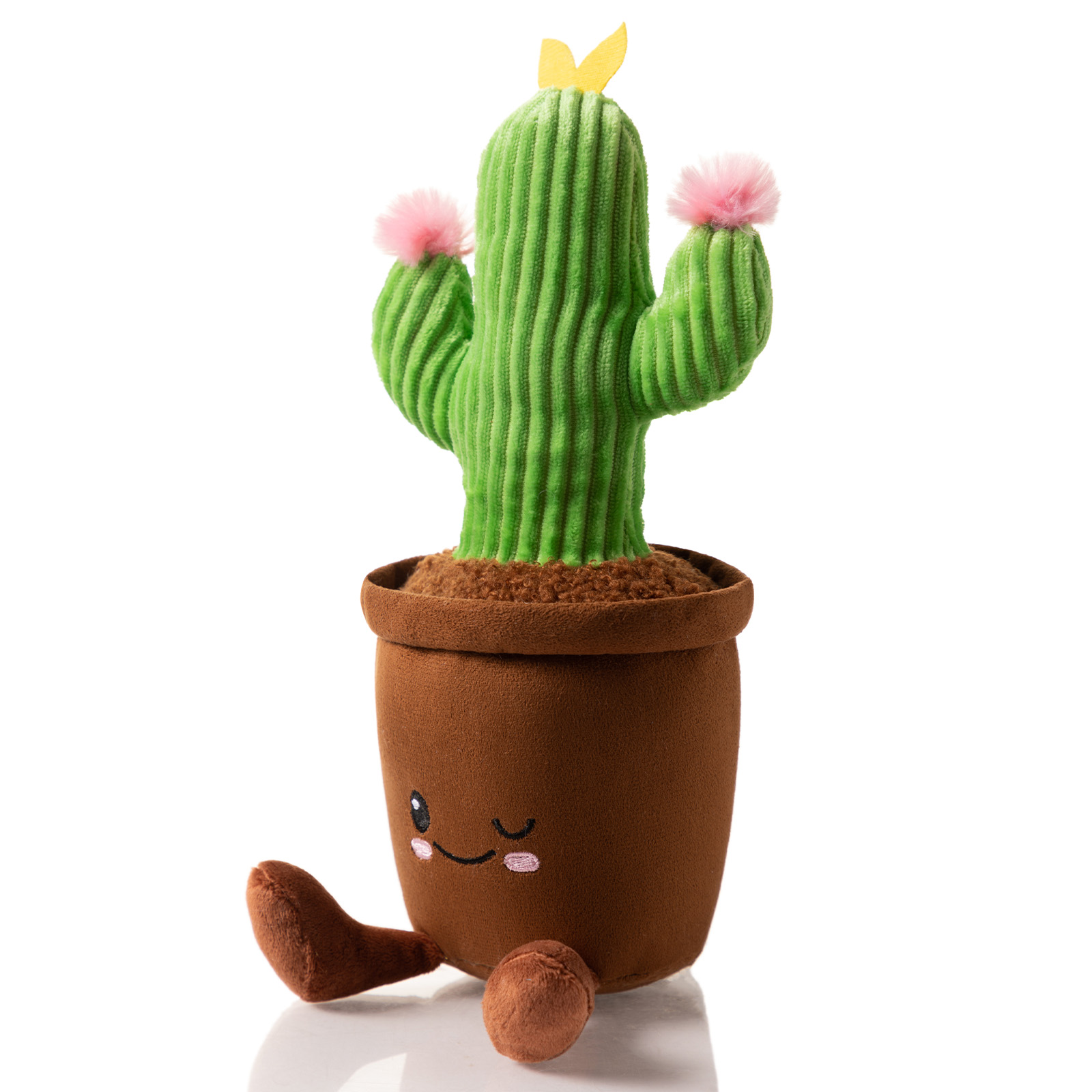 Plant Plush Asst
