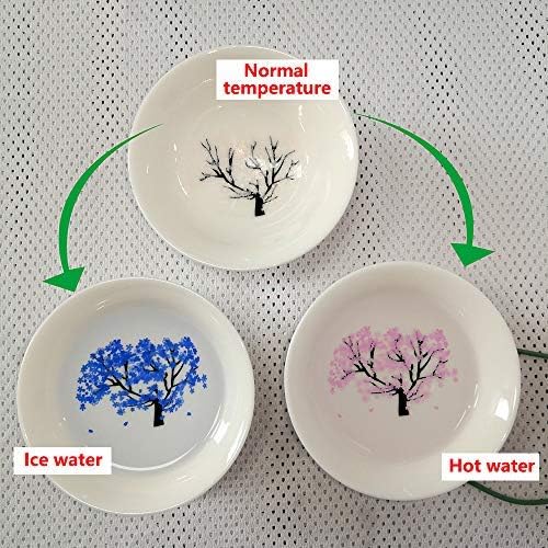 Magical Sakura Display Ceramic Teacup Gift (Hot and Cold Transformations)