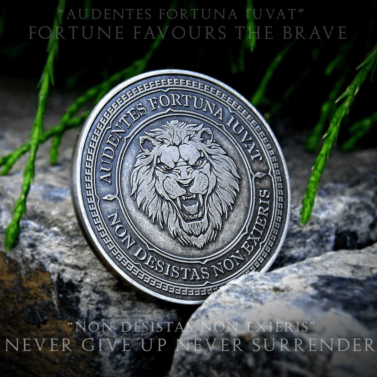 Audentes Fortuna Iuvat Challenge Coin