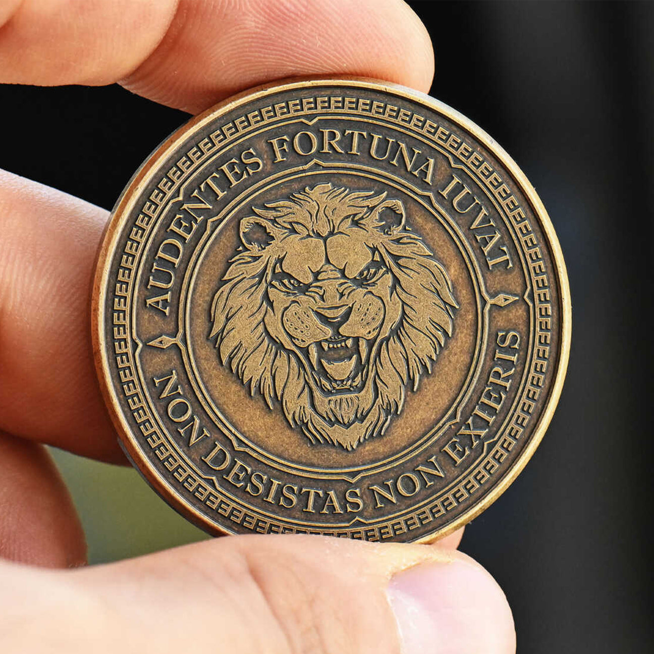 Audentes Fortuna Iuvat Challenge Coin