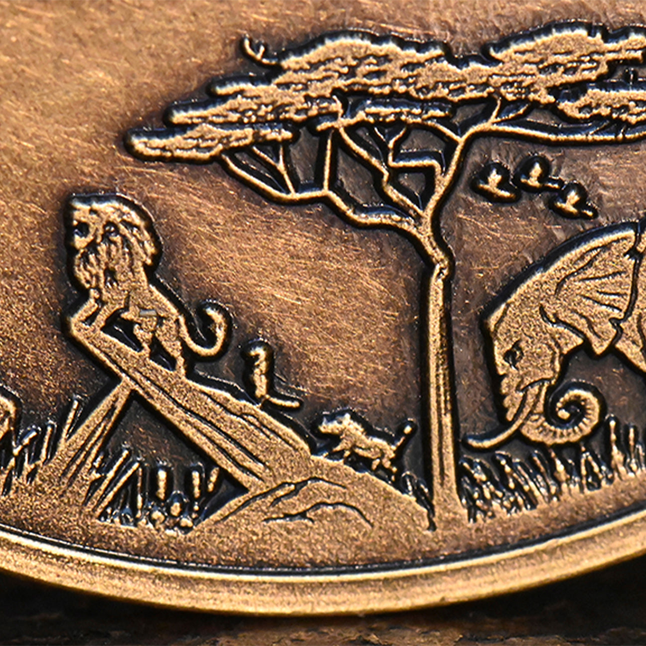 Hakuna Matata Challenge Coin