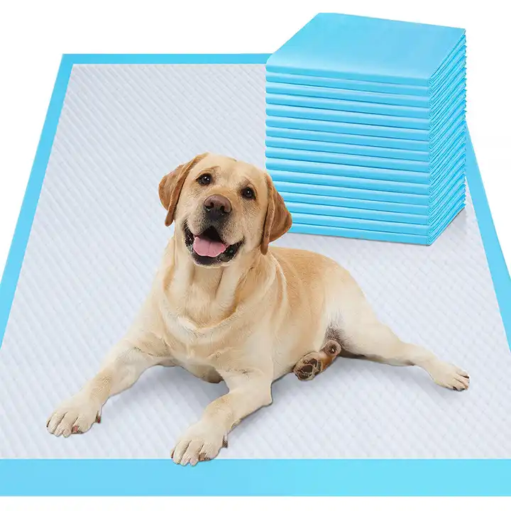 Free sample wholesalers super absorbent adult incontinence underpads dog pee pad disposable puppy pee dog training pet pads