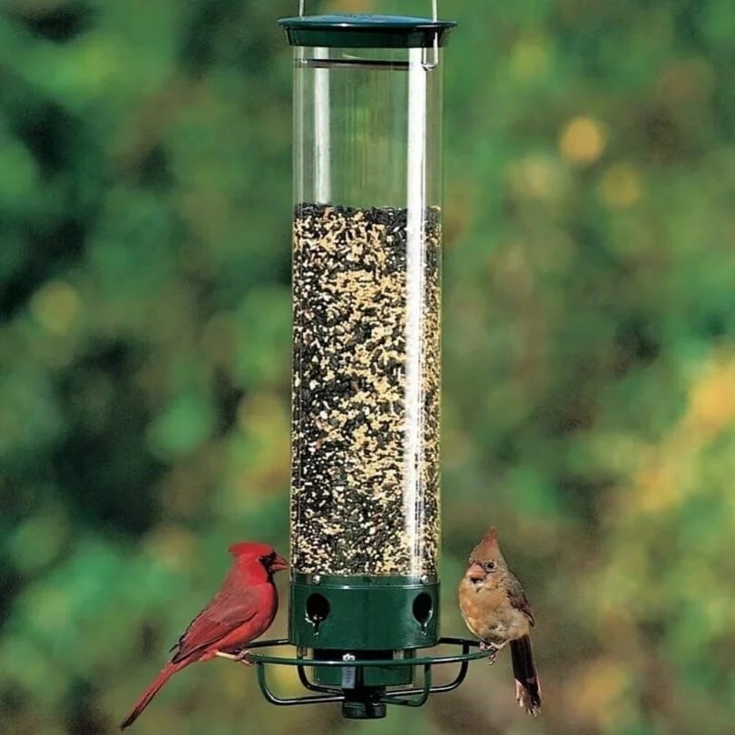 (🔥Last Day Promotion 50% OFF🔥)Squirrel-Proof Bird Feeder(Buy 2 Get Extra 10% OFF Now)