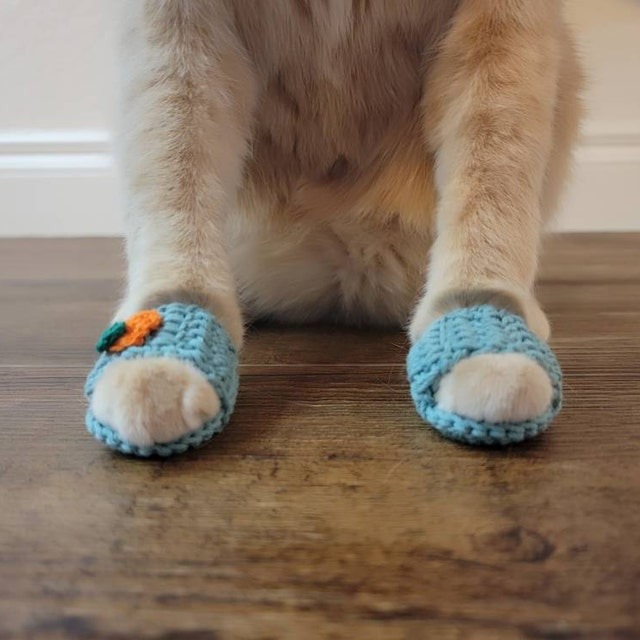 ✨Crochet Slippers For Cats