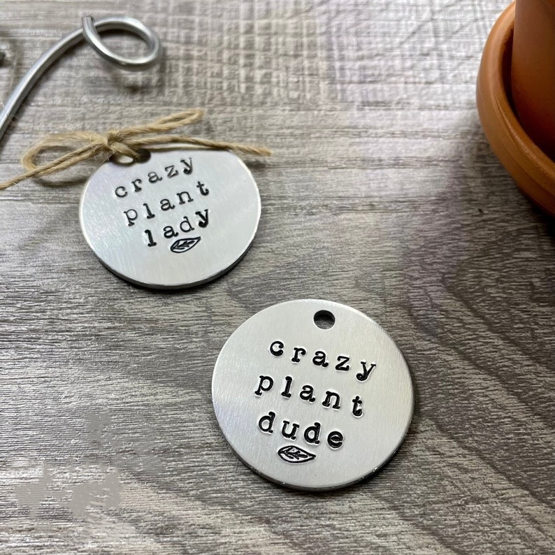 🌱 Garden Potted Plant Decoration