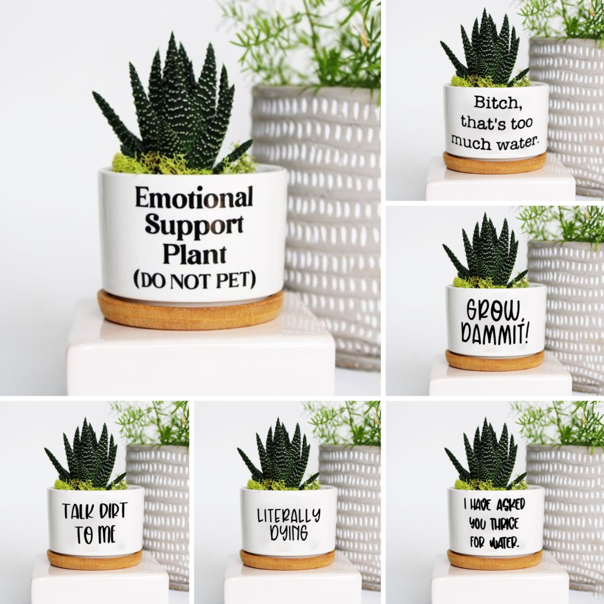 🌱Funny Plant Pot