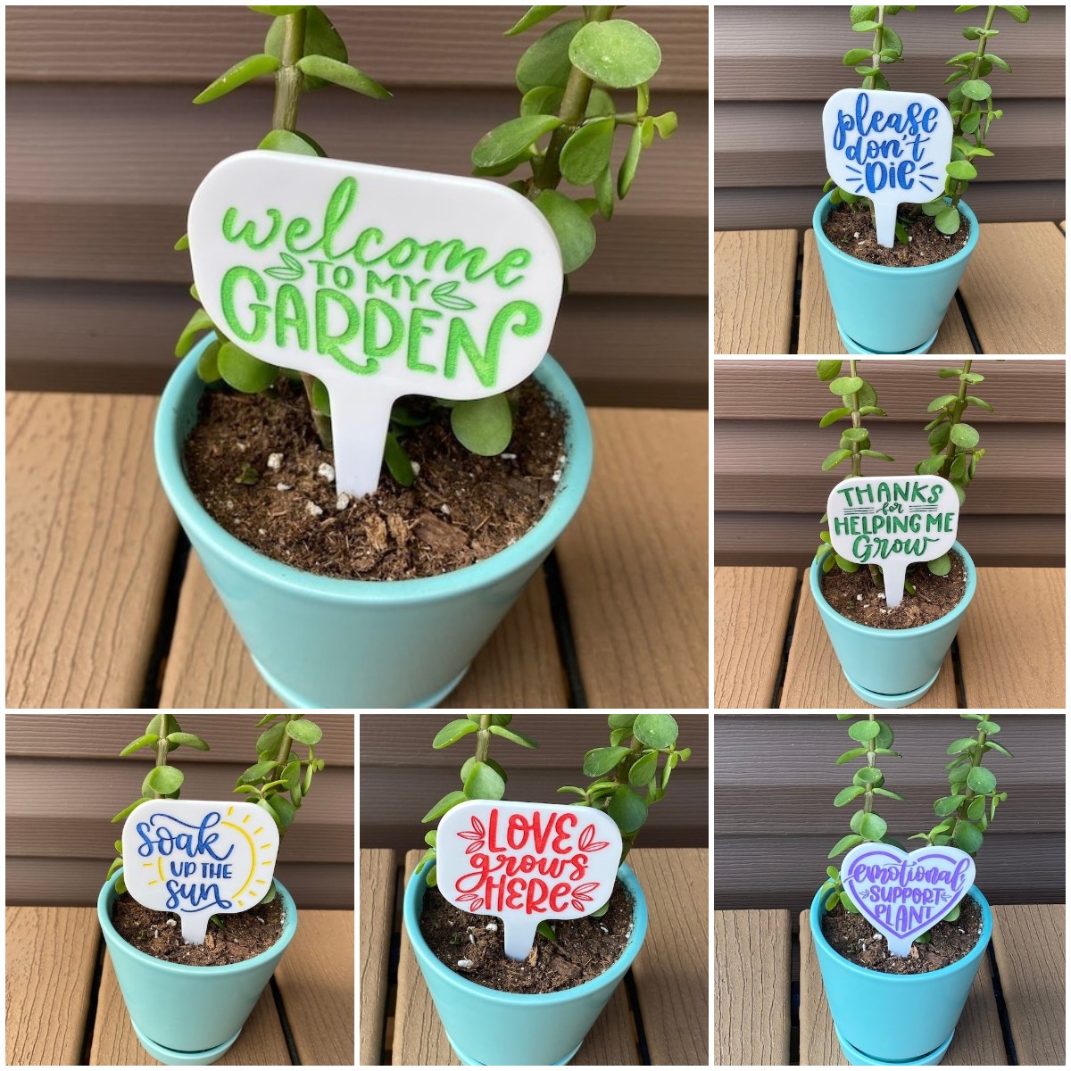 🔥Hot Sale ✨Fun Plant Stake