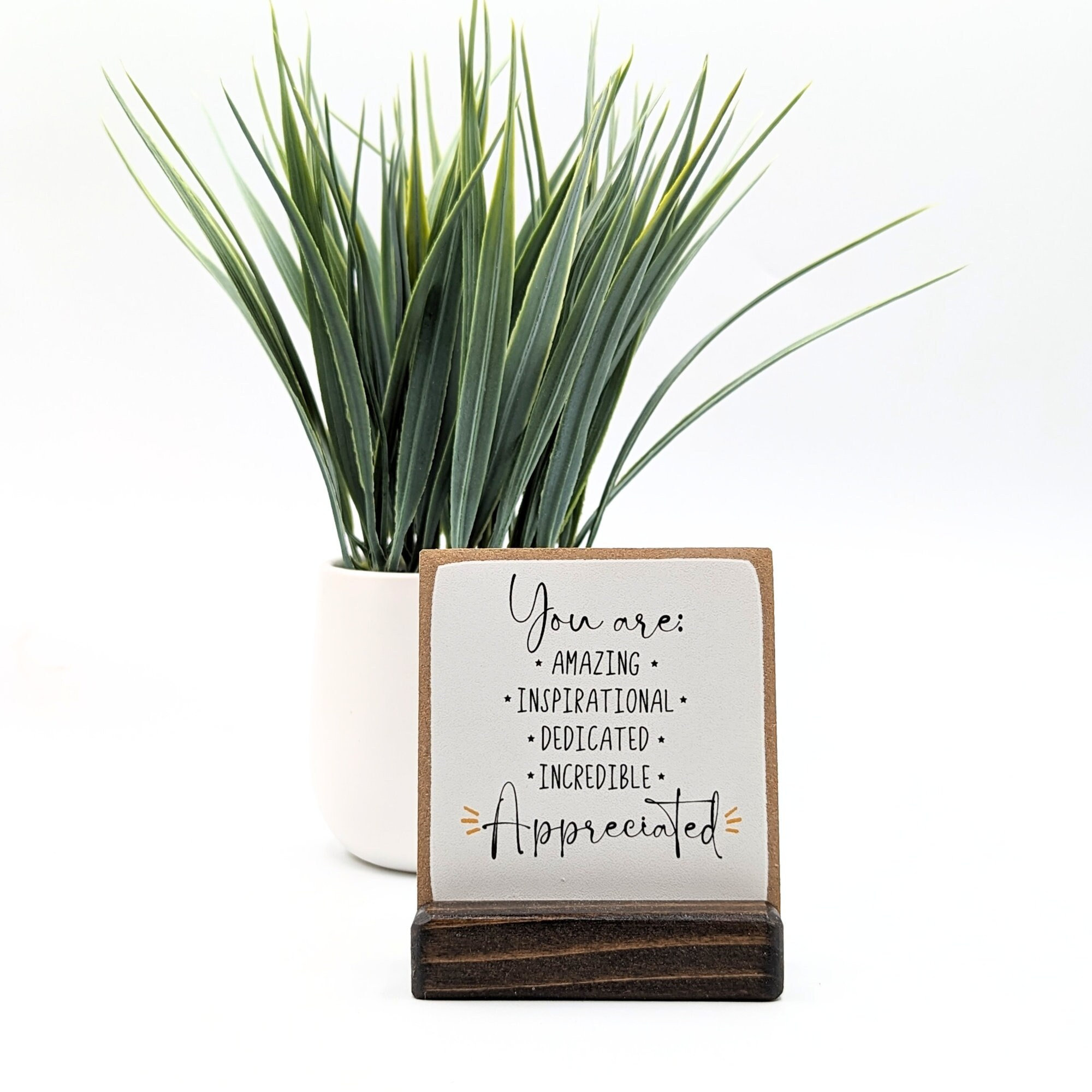 🎁APPRECIATION GIFT-Emotional Support Desk Decor🌞