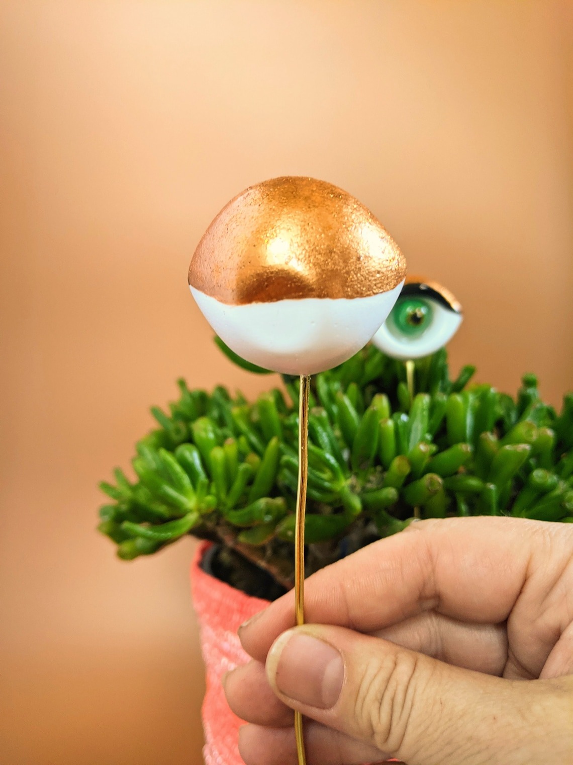 Valentines Plant eyes accessory