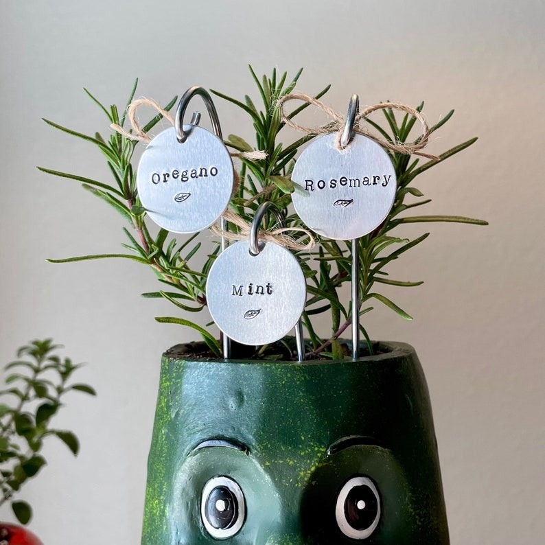 🌱 Garden Potted Plant Decoration