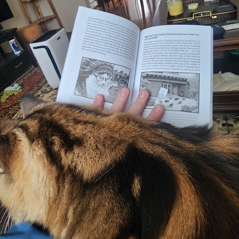 🐈How to Talk to Your Cat About Gun Safety: The Essential Guide for the Modern Concerned Pet Parent 🐾🔫